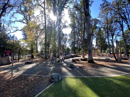 Rogers Park Anna and Abbys Yard